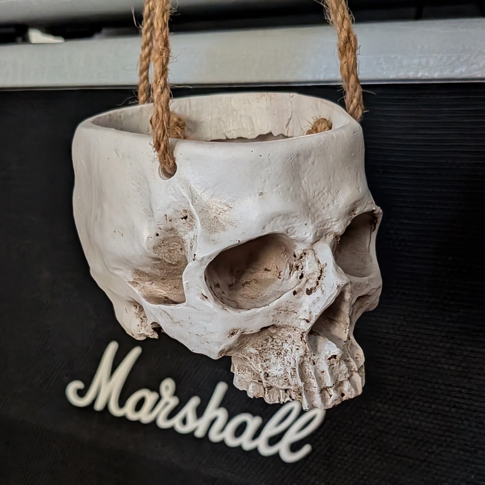 Skull Hanging Planter - Small (2)